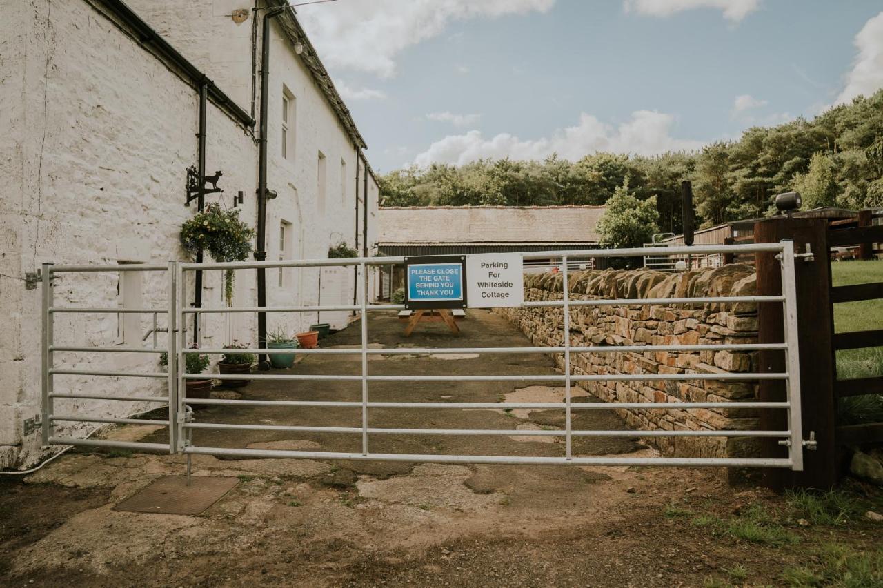 White Side Cottage Haltwhistle Buitenkant foto
